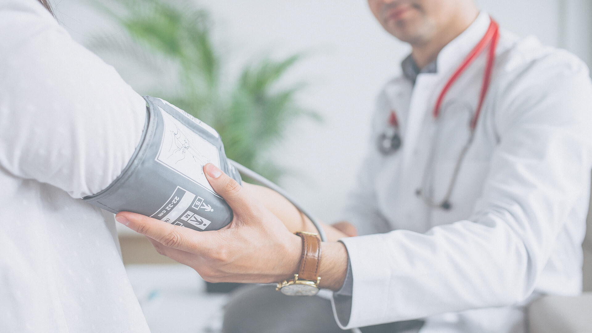 Receive the Immediate Care You Need